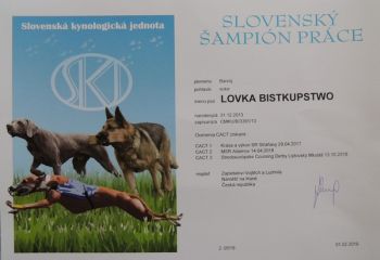 další šampionát pro Lovku